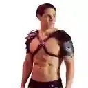 Arnés Gladiador Maximo Hentai