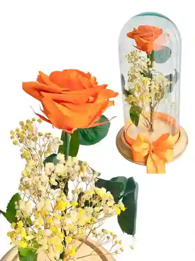 Flor Rosa Naranja Inmortalizada - Flor Regalo - Rosa Regalo - Rosa Inmortalizada Con Cupula En Vidrio - Feliz Dia De Las Madres