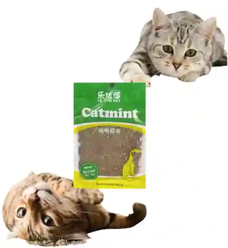 Catnip Bolsa X 5 Gr Catnip Para Gatos