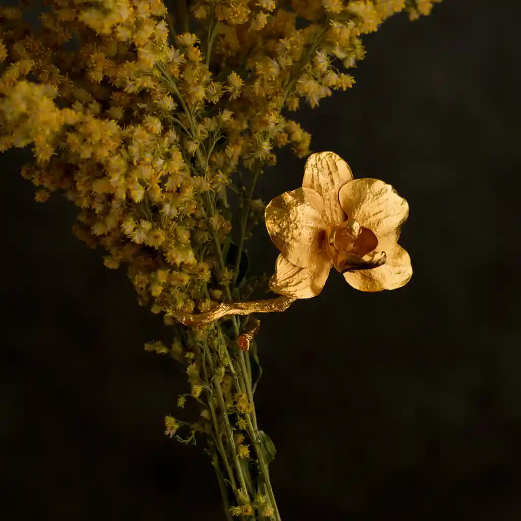 Anillo Ramita Orquidea Phalaenopsis Baby Large