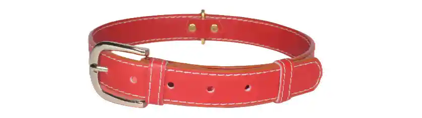 Totem Collar De Lujo Vegano Furia Roja Gs