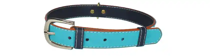 Totem Collar De Lujo Vegano Turquesa Astuto Gato