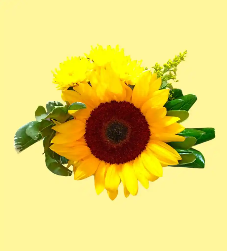 Bouquet Mini Con Girasol