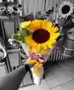 Bouquet Mini Con Girasol