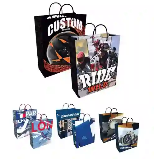 Bolsa De Regalo Para Hombre Medium 23x18 Cm Diseños Surtidos Primavera