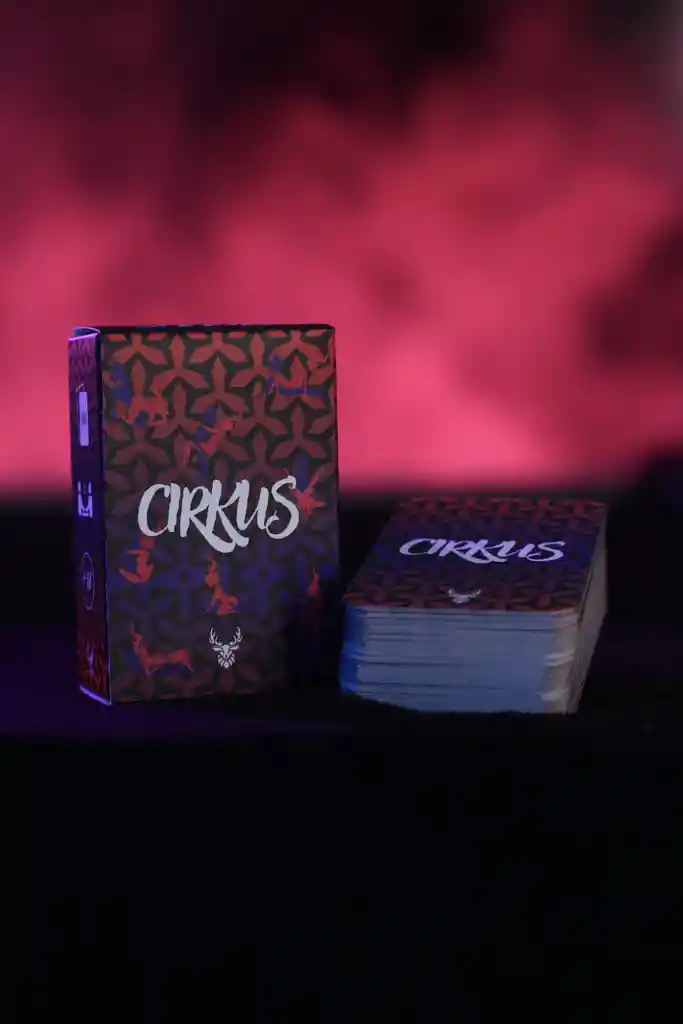 Cartas De Posiciones Del Kamasutra (cirkus) Cumba Group