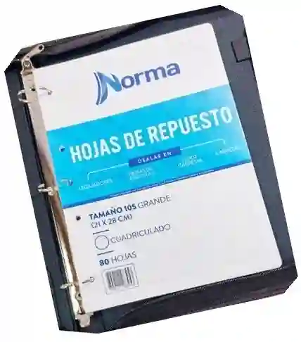 Hojas De Repuesto Para Carpeta Cuadriculada Tamaño 105 Grande 80 Hojas Norma