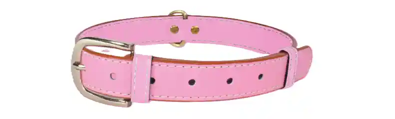 Totem Collar De Lujo Vegano Rosa Coqueta Talla Mini