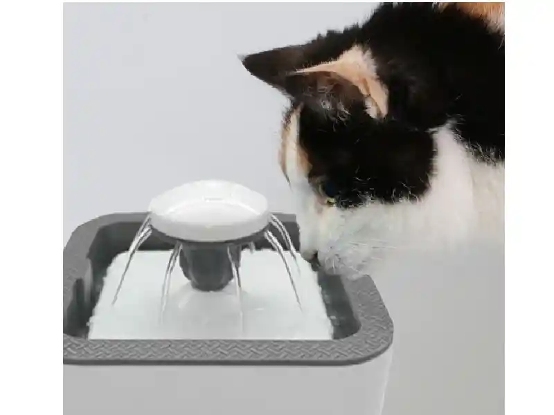 Fuente De Agua Para Mascotas