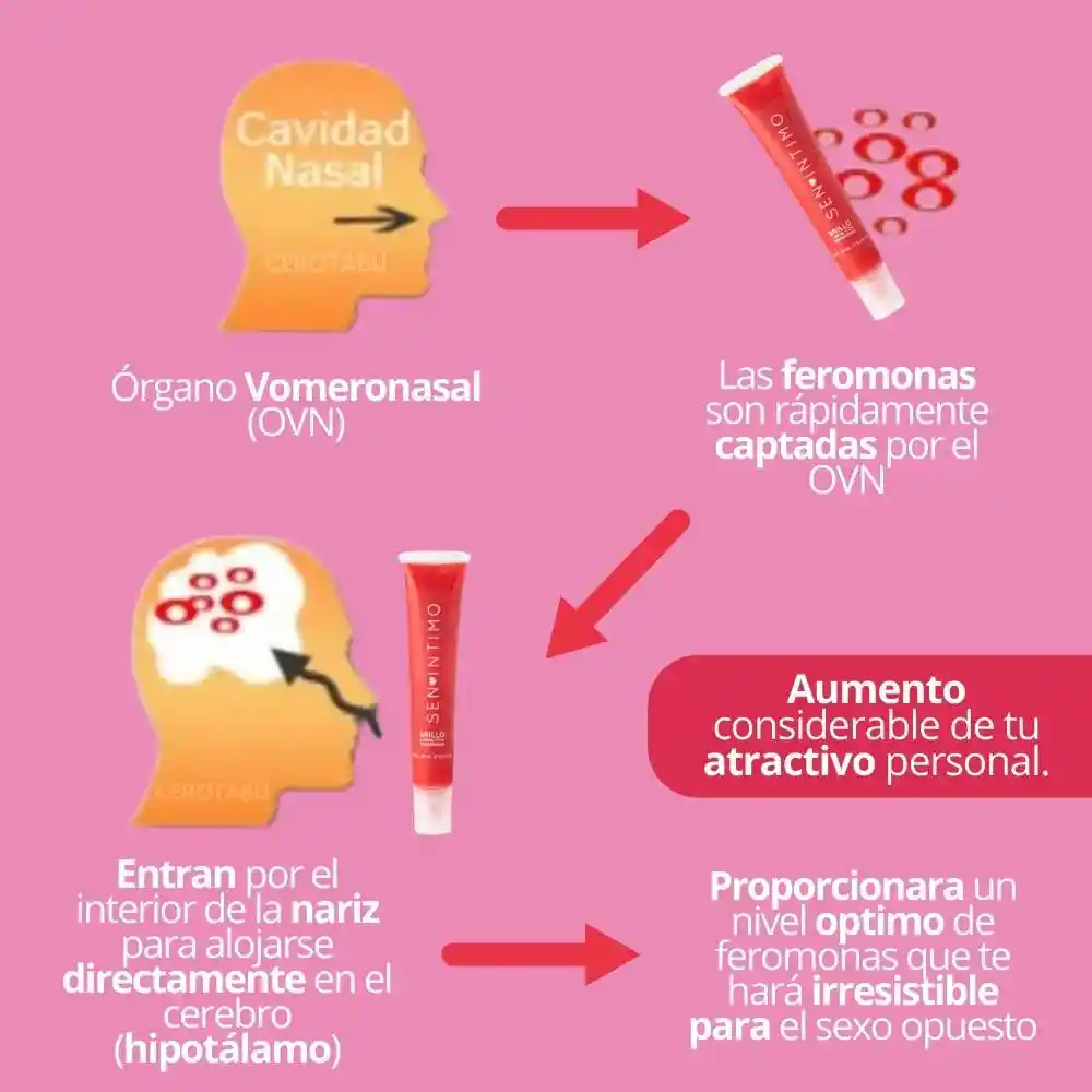 Brillo Labial Con Feromonas Humectante Labios Cereza X 15ml