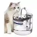 Fuente De Agua Para Mascotas Gatos Silencioso Automatico