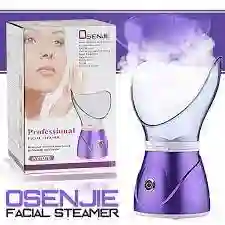 Spa Facial
