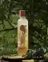 Shampoo Control Grasa Romero Y Eucalipto Ritual Botanico