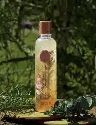 Shampoo Control Grasa Romero Y Eucalipto Ritual Botanico