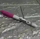 Marcador Sharpie Fucsia Fino Permanente