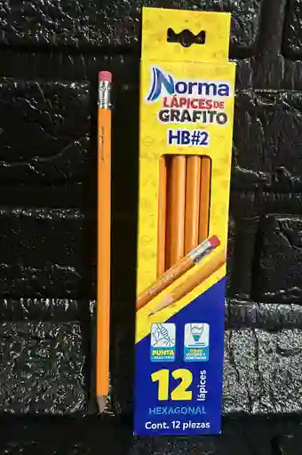 Lapiz Norma Unidad