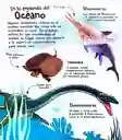 Libro Didáctico Sonidos De Los Dinosaurios Niños Niñas