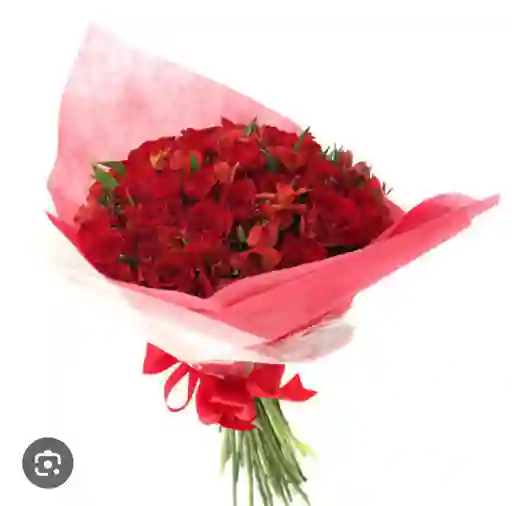Bouquet 24 Rosas Rojas