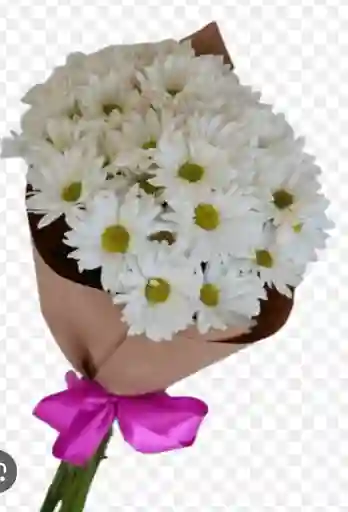 Bouquet Margaritas Blancas
