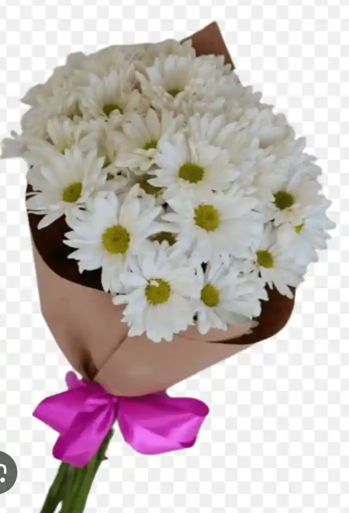 Bouquet Margaritas Blancas