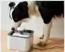 Fuente De Agua Para Gatos Perros Bebedero Para Mascotas