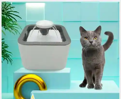 Fuente De Agua Para Gatos Perros Bebedero Para Mascotas