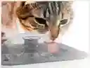 Fuente De Agua Para Gatos Perros Bebedero Para Mascotas