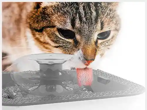 Fuente De Agua Para Gatos Perros Bebedero Para Mascotas
