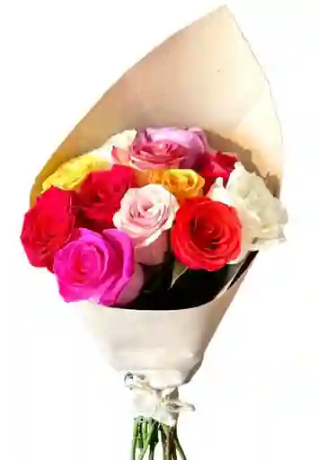 Rosas 12 Surtidas