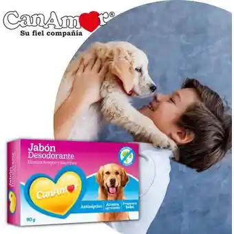 Jabón Desodorante Canamor