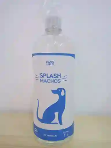 Splash Machos Canis Felis X 1 Litro