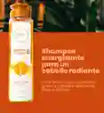 Shampoo Con Ginseng