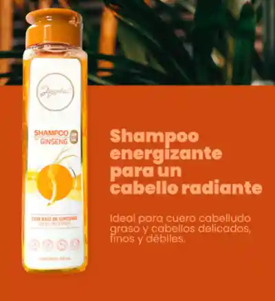 Shampoo Con Ginseng