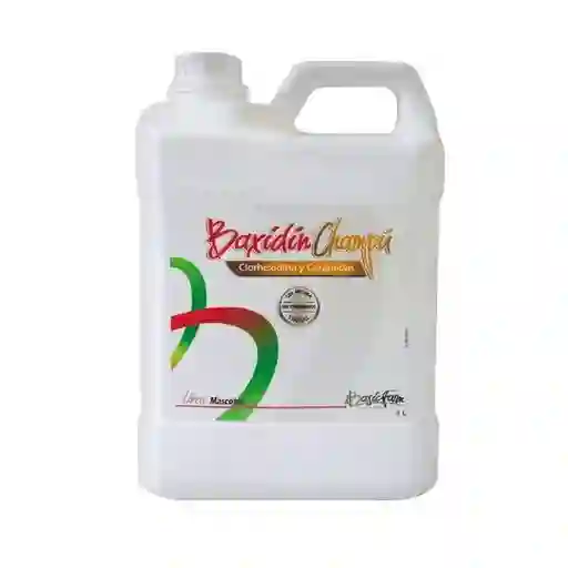 Champu Baxidin X 4l