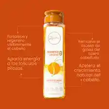 Shampoo Con Ginseng Anyeluz