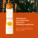 Shampoo Con Ginseng Anyeluz