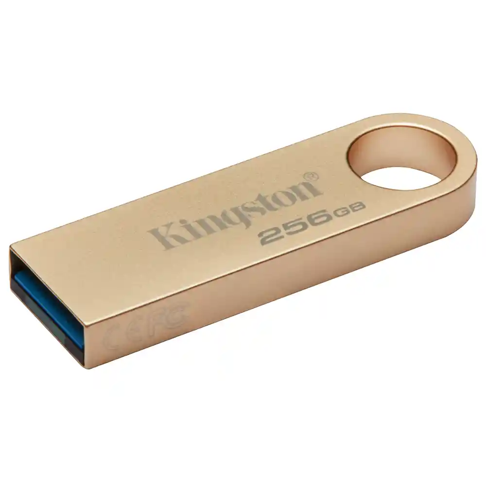 Memoria Usb 3.2 Kingston Datatraveler Se9 G3 256gb