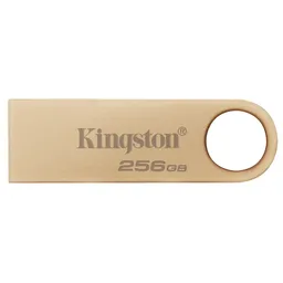 Memoria Usb 3.2 Kingston Datatraveler Se9 G3 256gb