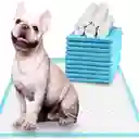 Tapete Entrenador Absorbente Baño Perro Gato Mascotas X100