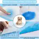 Tapete Entrenador Absorbente Baño Perro Gato Mascotas X100