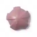 Shampoo Solido Ameixa