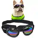 Gafas De Sol Para Perros Pegables Protección Uv