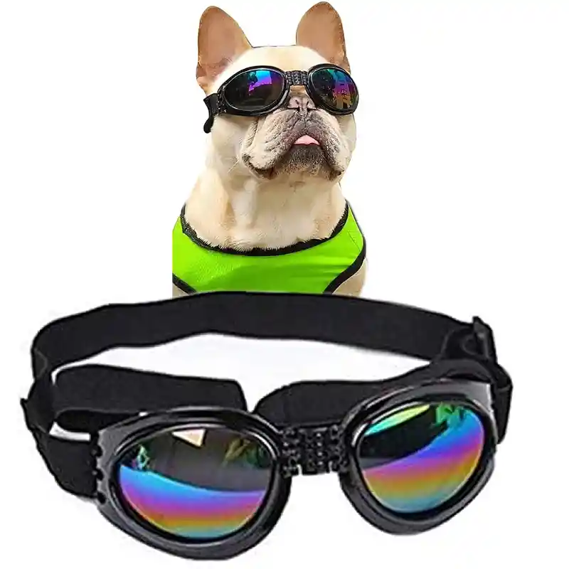 Gafas De Sol Para Perros Pegables Protección Uv