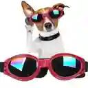 Gafas De Sol Para Perros Pegables Protección Uv