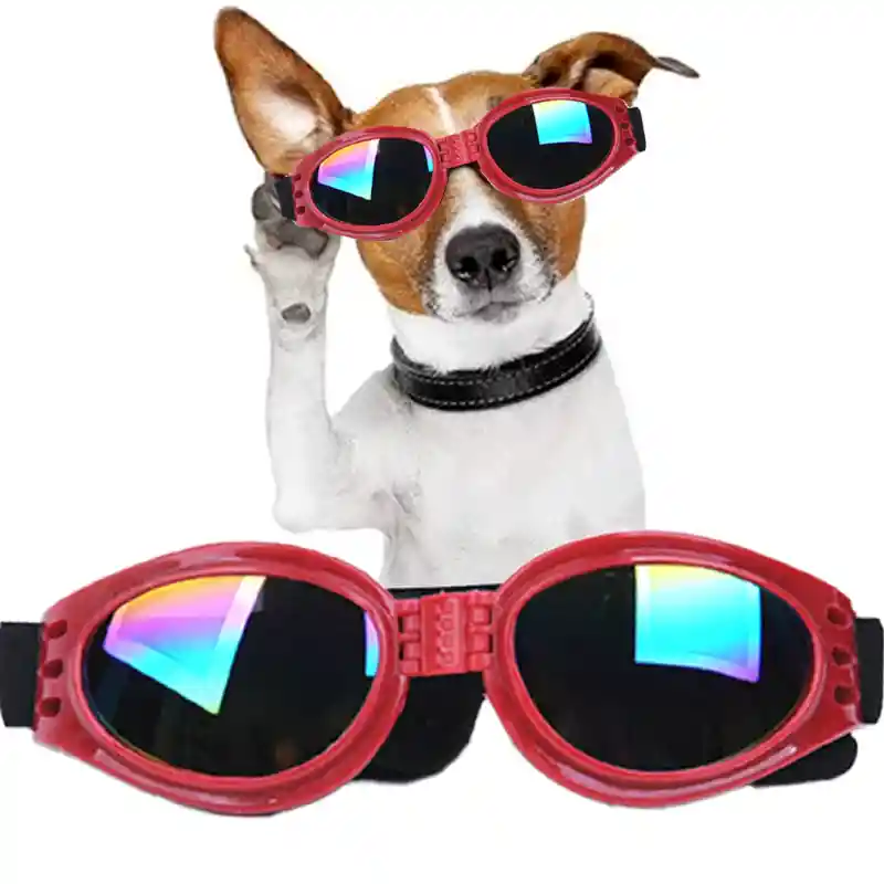 Gafas De Sol Para Perros Pegables Protección Uv