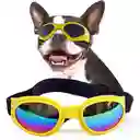 Gafas De Sol Para Perros Pegables Protección Uv