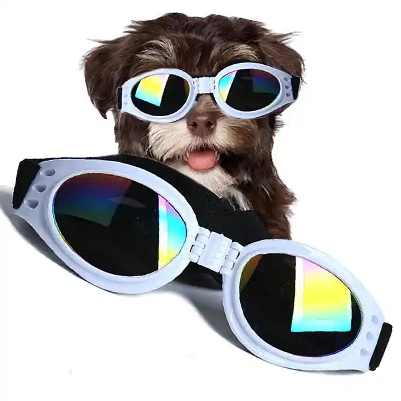 Gafas De Sol Para Perros Pegables Protección Uv