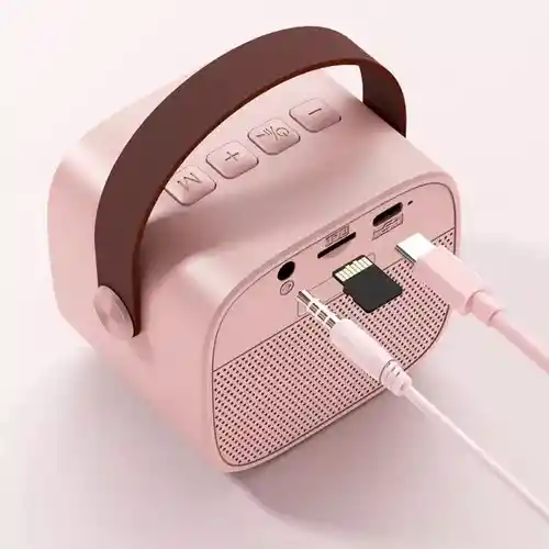 Parlante Bluetooth Karaoke Microfono Inalambrico As202 Niños