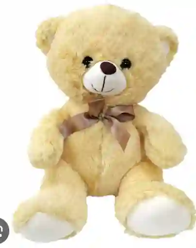 Oso De Peluche 30cms