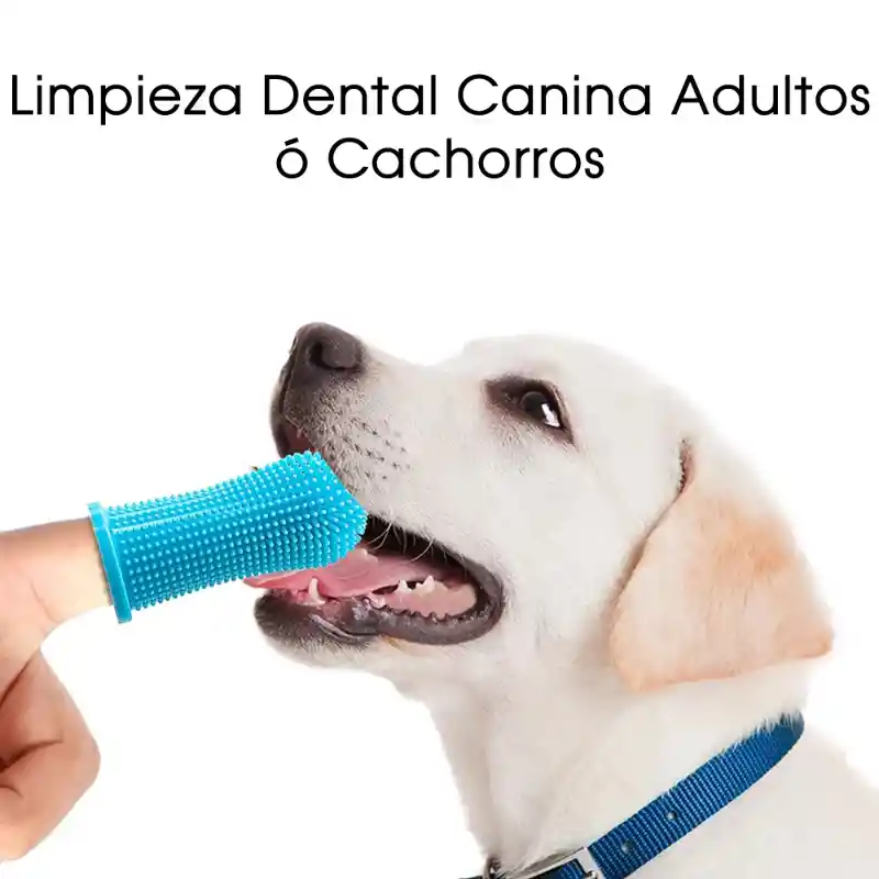 Rasca Encías Cepillo Higiene Cuidado Dental Perros Gatos Mascotas